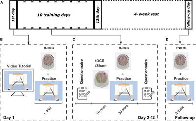 Decreasing the Surgical Errors by Neurostimulation of Primary Motor Cortex and the Associated Brain Activation via Neuroimaging